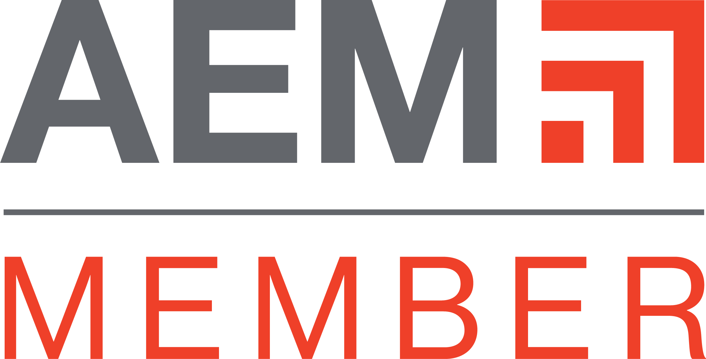 AEM member